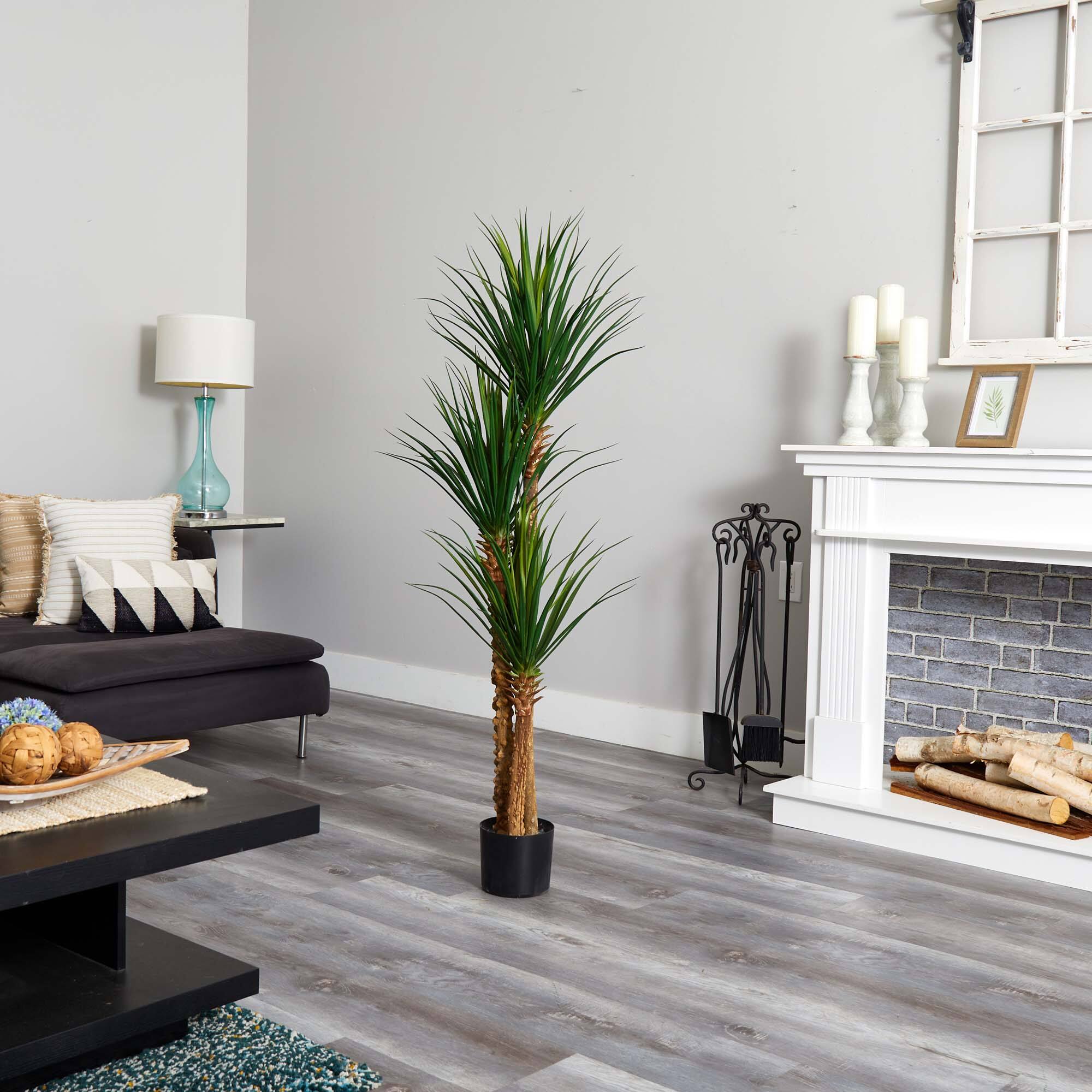 5ft. Potted Yucca Tree